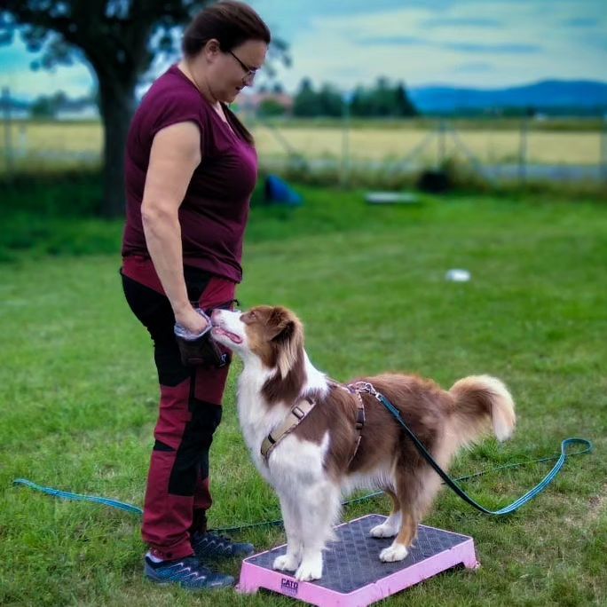 K3 Gipsy und Tabitha
